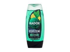 Radox Radox - Refreshment Menthol And Citrus 3-in-1 Shower Gel - For Men, 225 ml 