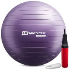 Hs Hop-Sport Gymnastická lopta s pumpou 65cm - fialová