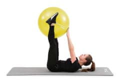 Hs Hop-Sport Gymnastická lopta s pumpou 55cm - žltá
