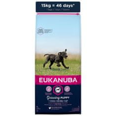 Eukanuba Krmivo Puppy Large & Giant 15kg