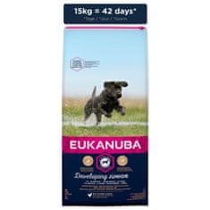 Eukanuba Krmivo Junior Large & Giant 15kg