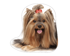 EXCELLENT Dekoračný vankúš - Yorkshire Terrier