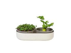 Plastia Kľúčiaca miska MICROGREENS + Regrow - slonová kosť s kávovou usadeninou