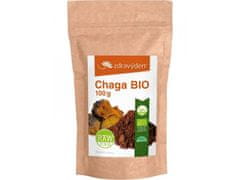 Zdravý den Chaga BIO 100g