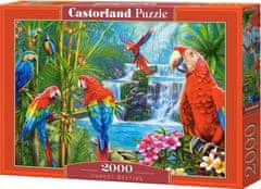 Castorland Puzzle Stretnutie papagájov 2000 dielikov