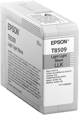 Epson Singlepack Photo Light Light Black T850900 UltraChrome HD ink 80ml