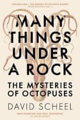 David Scheel: Many Things Under a Rock: The Mysteries of Octopuses