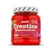 AMIX Creatine Monohydrate Drink 360 g forest fruits