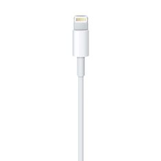 Apple Lightning to USB Cable 0,5M
