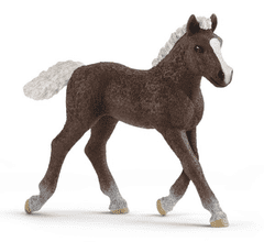 Schleich Horse Club 13899 Kôň Schwarzwaldský - žriebä