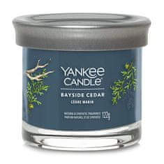 Yankee Candle Sviečka v sklenenom valci , Pobrežný céder, 122 g