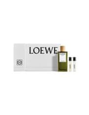 Loewe Set Esencia Loewe Edp 100ml Mini 10ml 7 Cob 10ml@ 