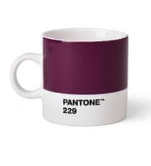 Pantone Hrnček Espresso - Aubergine 229