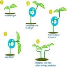 Netscroll Spony na usmernenie rastu rastlín, set 30 kusov, pre optimálny rast rastlín a estetický vzhľad, AnglePlant