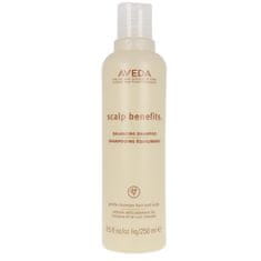 Aveda Aveda Scalp Benefits Balancing Shampoo 250ml 