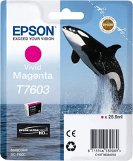 Epson Epson T7603 Ink Cartridge Vivid Magenta