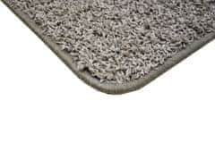 Vopi AKCIA: 120x170 cm Kusový koberec Color Shaggy sivý 120x170