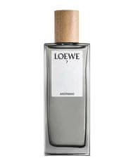 Loewe Loewe 7 Anónimo Edp Spray 100ml 