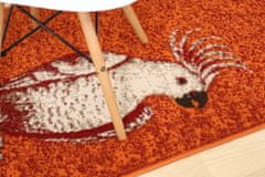 Kusový koberec Kakadu orange 160x230