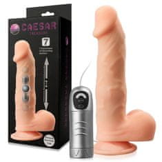 XSARA Vibrátor-buchar sex gadget s posuvným pohybem – 73995241