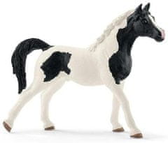 Schleich Horse Club 13840 Kôň Pinto Arab - žrebec