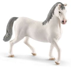 Schleich Horse Club 13887 Lipicán - žrebec