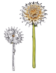 Camerazar Elegantná kvetinová brošňa s kubickými zirkónmi, zapínanie na špendlík, striebro