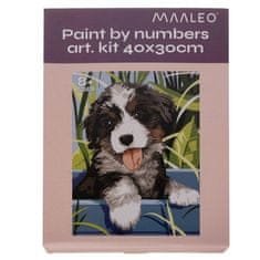Maaleo Maľba podľa čísel Pes na drevenom ráme, viacfarebná, 40x30 cm, s akrylovými farbami a štetcami