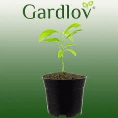 Gardlov Sada 500 výrobných hrncov, čierna farba, plast, priemer 16 cm