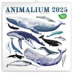 Poznámkový kalendár Animalium 2025