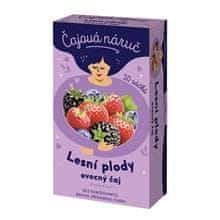 LEROS Ovocný čaj Čajová náruč - lesné plody, 20x 1,5 g