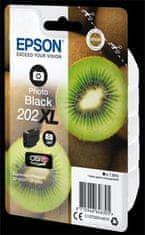 Epson cartridge T02H1 photo black XL (kivi)