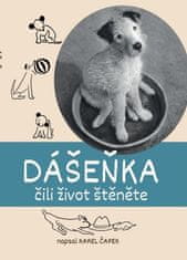 Dášeňka