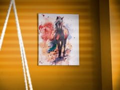 WOWO Maľba podľa čísel Koň - Koň v Maľbe podľa Čísel, Rozmer 40x50cm