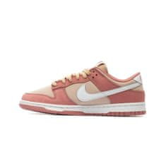 Nike Obuv 41 EU Dunk Low Retro Prm