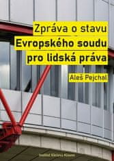 Aleš Pejchal: Zpráva o stavu Evropského soudu pro lidská práva