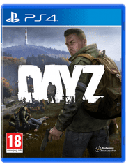 DayZ (PS4)