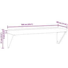 Petromila vidaXL Nástenná polica 100x30x31 cm strieborná nehrdzavejúca oceľ