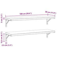 Petromila vidaXL Nástenné police 2 ks 100x30 cm strieborné nehrdzavejúca oceľ