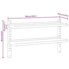 Petromila vidaXL 2-úrovňová polica 100x23,5x60 cm strieborná nehrdzavejúca oceľ