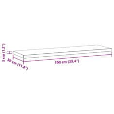 Petromila vidaXL Nástenné police 2 ks 100x30x3 cm čierne nehrdzavejúca oceľ