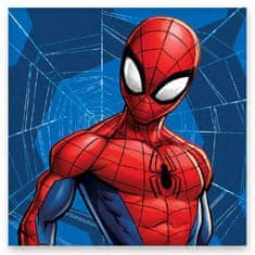 BrandMac Spiderman Web hand towel, face towel, towel 30x30cm