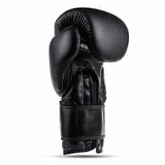 DBX BUSHIDO boxerské rukavice B-ProFight veľkosť 10 oz