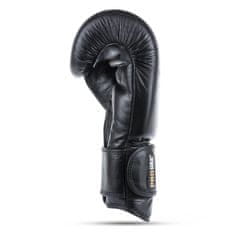 DBX BUSHIDO boxerské rukavice Striker veľkosť 10 oz