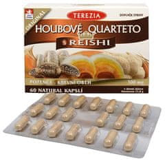 TEREZIA COMPANY Hubové Quartet s reishi 60 kapsúl