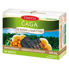 TEREZIA COMPANY Čaga + reishi a rakytník 60 kapslí