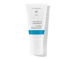 Dr. Hauschka Intenzívny kosmatcový krém (Ice Plant Intensive Cream) 50 ml