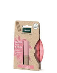 Kneipp Farebný balzam na pery Natura l Rosé ( Color ed Lip Balm) 3,5 g