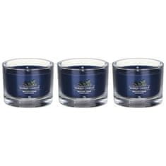 Yankee Candle Súprava votívnych sviečok v skle Bayside Cedar 3 x 37 g