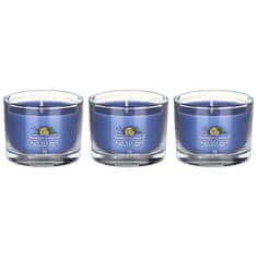 Yankee Candle Sada votívnych sviečok v skle Black Tea & Lemon 3 x 37 g